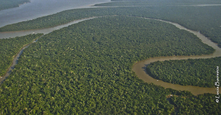El Amazonas, en peligro