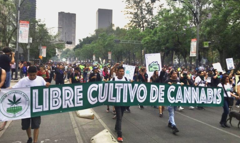 México: la regulación de la mariguana