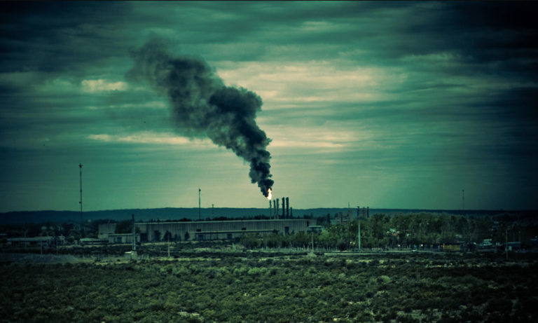 Environmental defense sprouts from the bottom