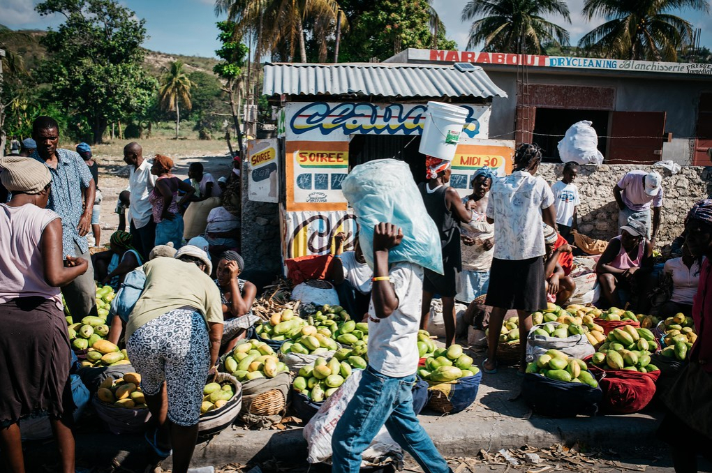 Apicultura ajuda na recuperação econômica no Haiti