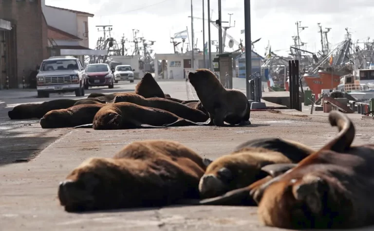 Los legados de la pandemia a la agenda sostenible
