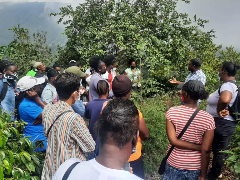 Mujeres rurales, en la primera línea del cambio climático y los desastres en América Latina y el Caribe