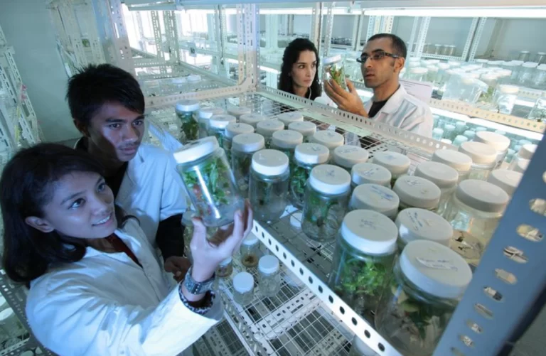 Los científicos pueden ayudar a reconstruir la confianza en… ¡la ciencia!