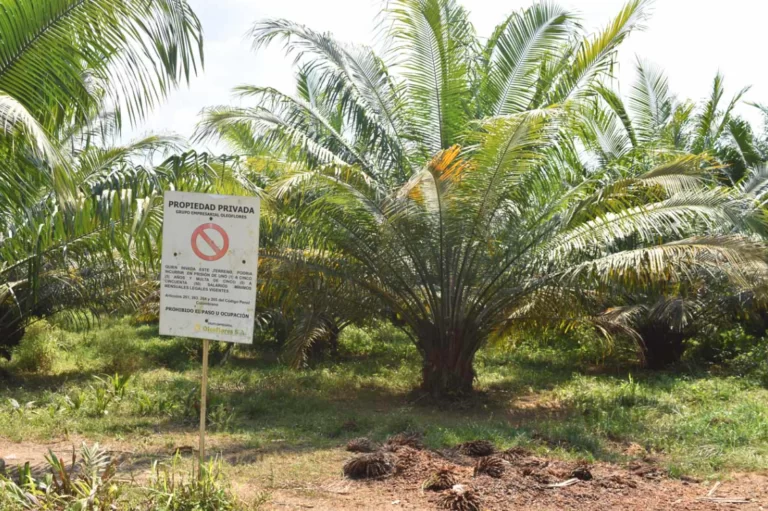 Las víctimas del calentamiento global no han oído hablar de cambio climático