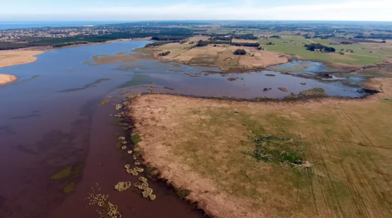 ¿Hacia una nueva política del agua en América Latina?