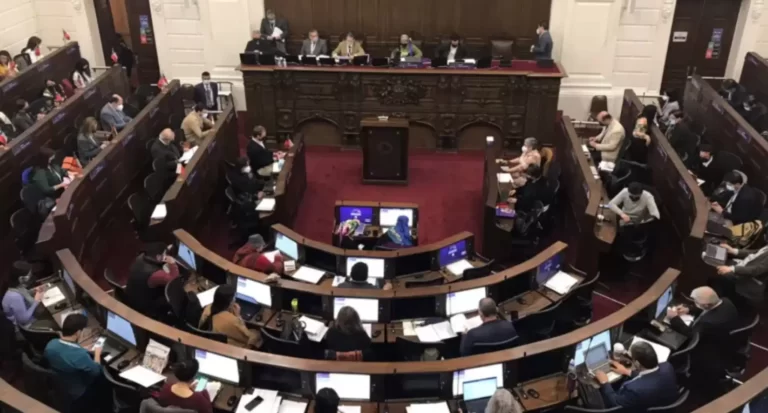 Metáforas y emociones en el debate constitucional en Chile