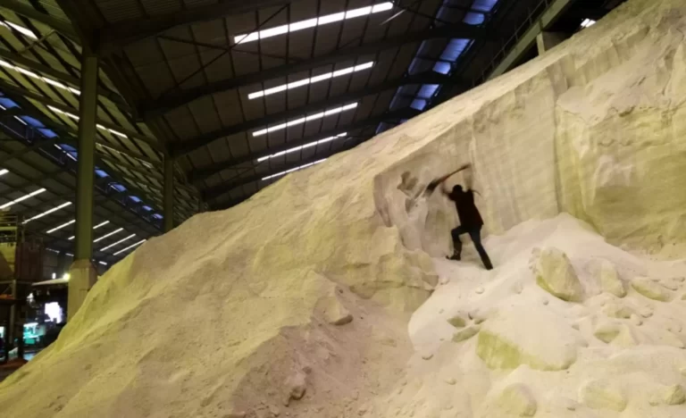 La guerra de Ucrania y su impacto sobre la seguridad alimentaria en América Latina