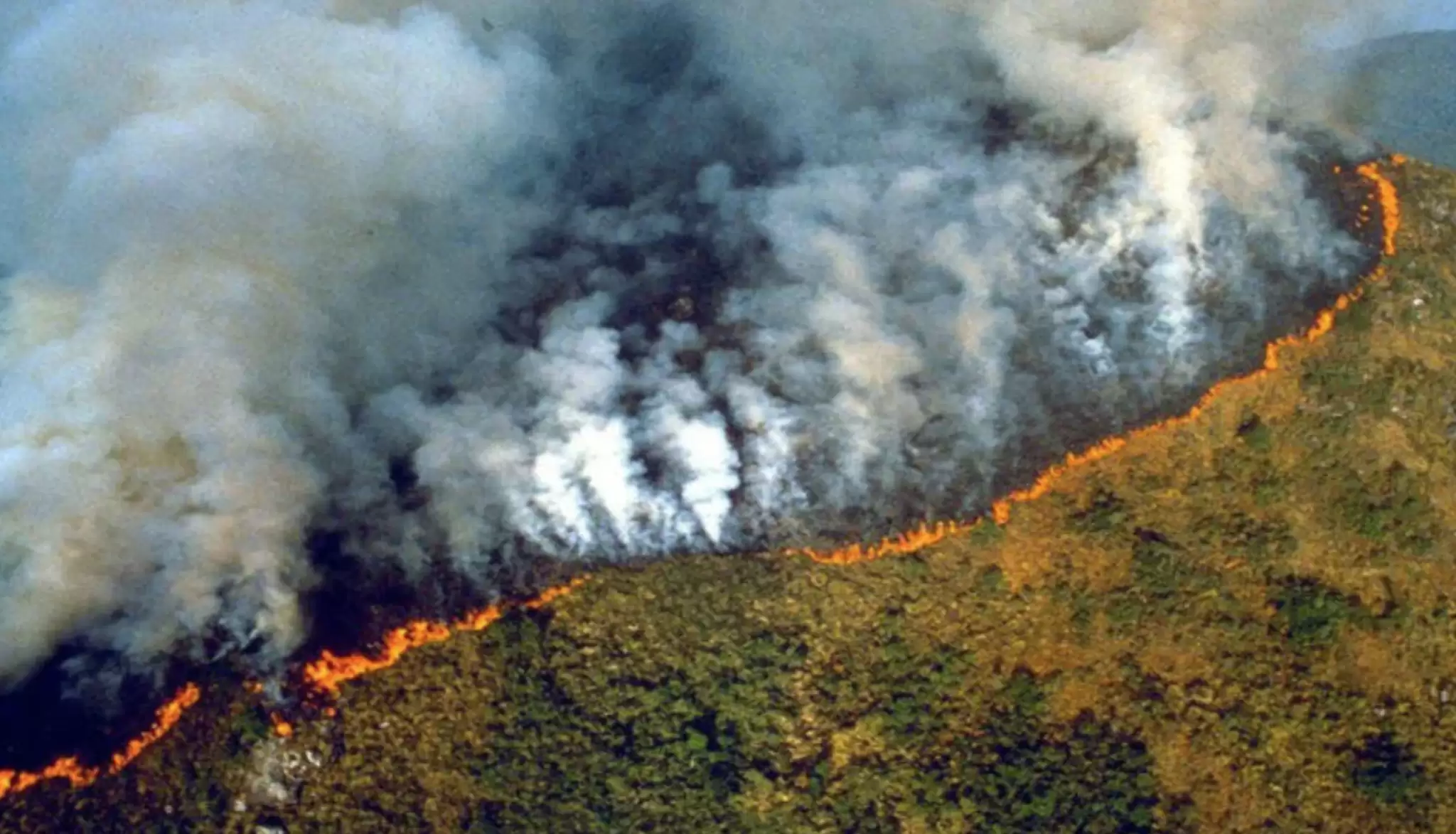 Let's extinguish fires to stop climate change - Latinoamérica 21