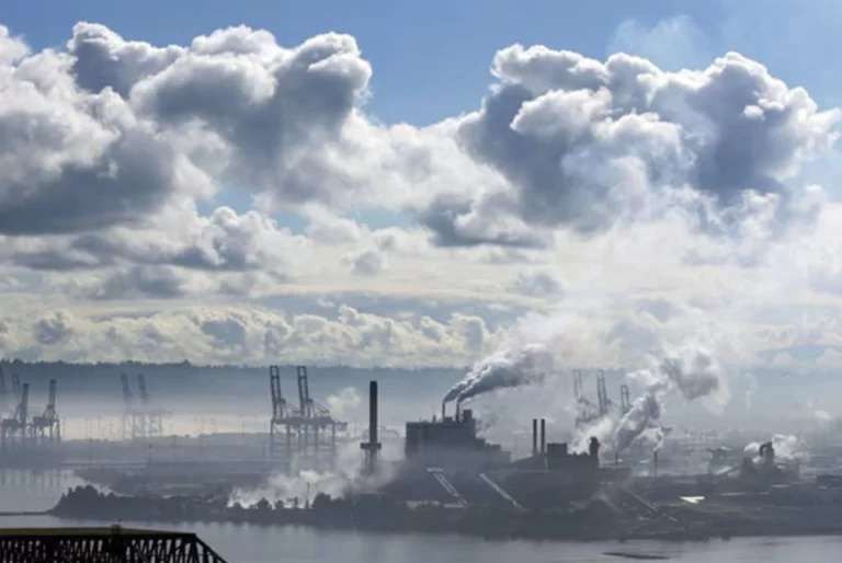 Sólo la política frenará el cambio climático