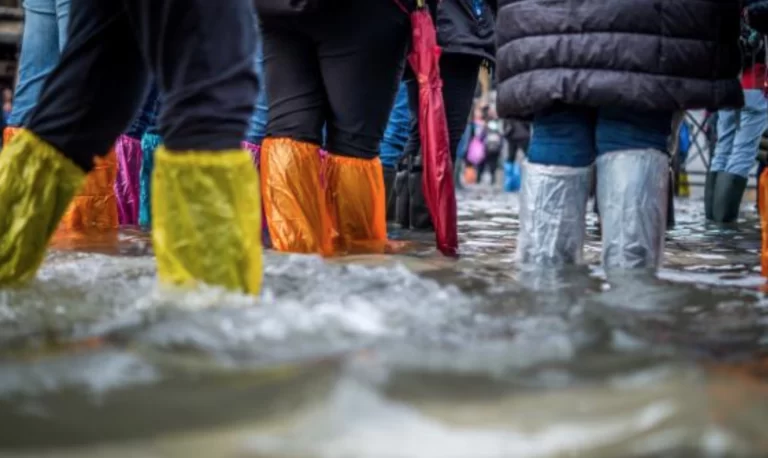 Cambio climático y desarrollo sostenible: narrativa y altruismo