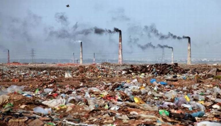 La mirada de Polanyi en tiempos del Antropoceno