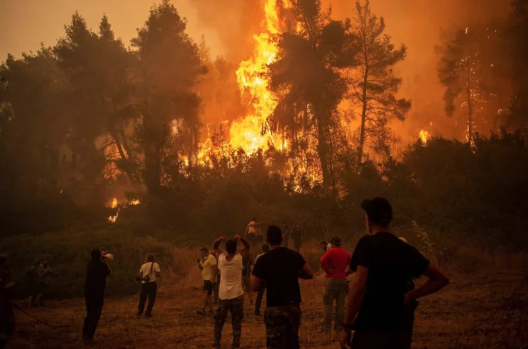 La crisis climática: una crisis de liderazgo e imaginación