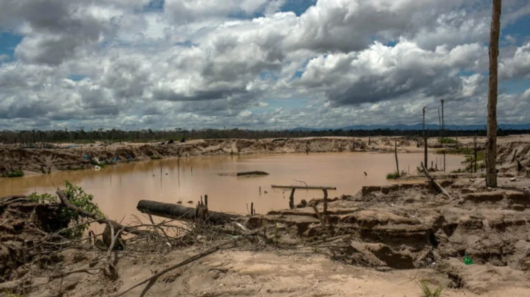 A new pact seeks to protect the Amazon from environmental crime