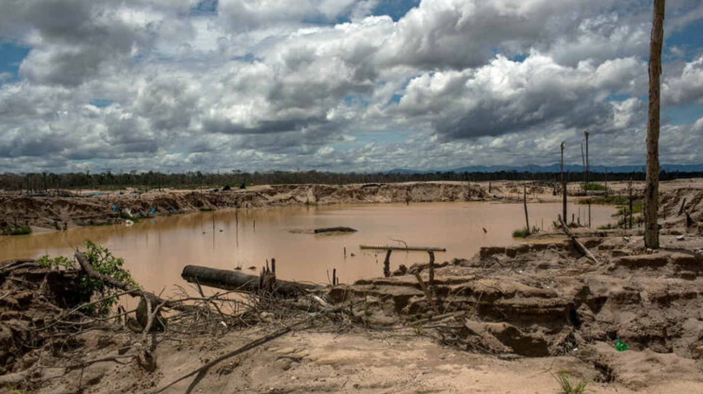 Rainforest Mafias: How Violence and Impunity Fuel Deforestation in