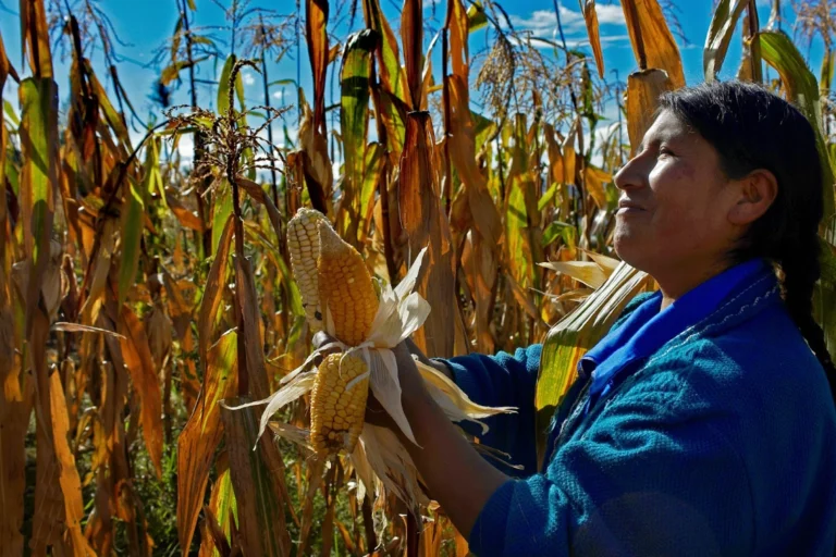 The Challenges of Bridging Science With The Wisdom of Indigenous Peoples