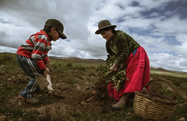 A sociedade civil e a Cooperação Sul-Sul para a segurança alimentar da América Latina