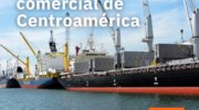 perfil comercial