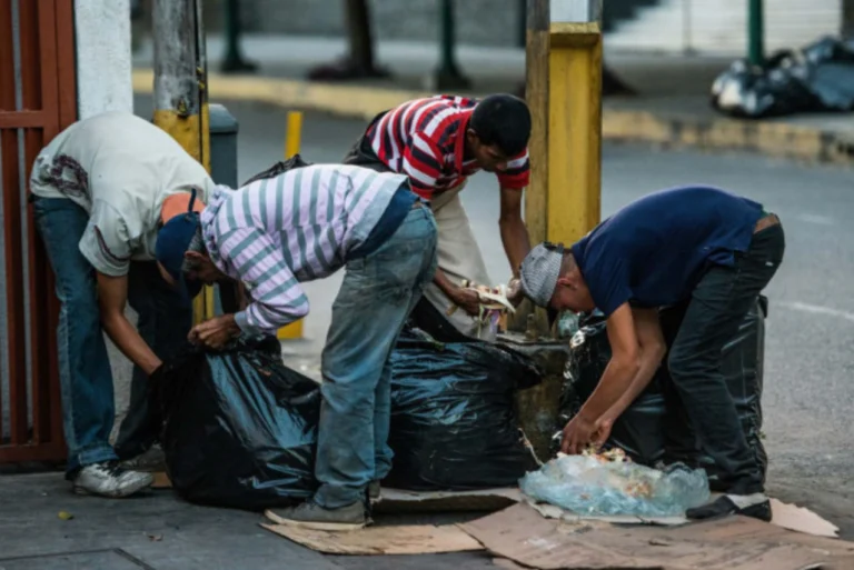 seguridad alimentaria