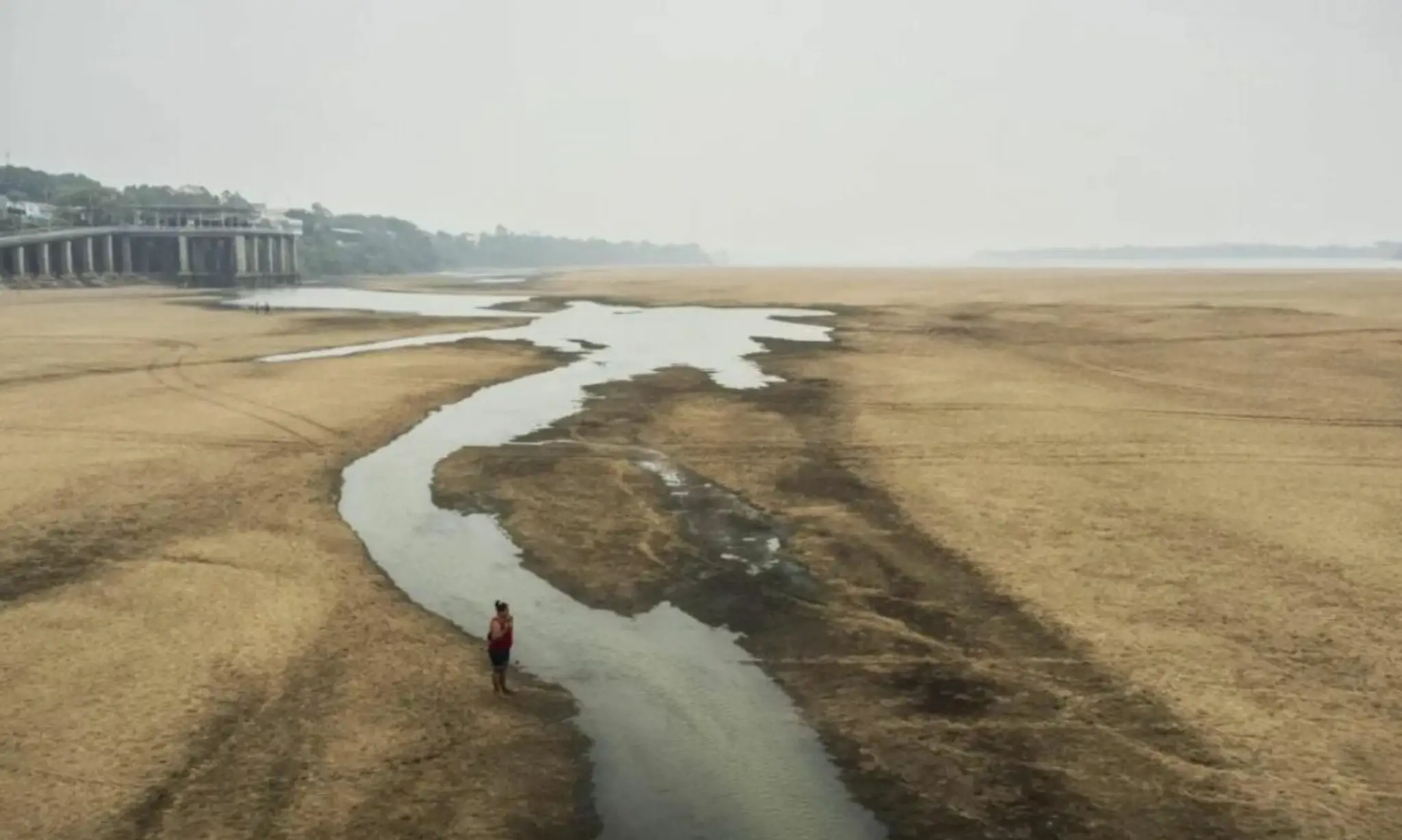 Como os brasileiros percebem a emergência climática?