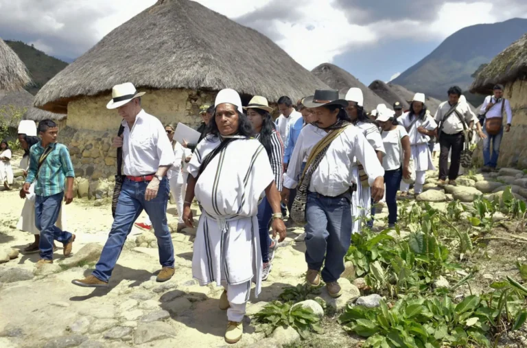 Paz e natureza: reflexões sobre a imperfeição