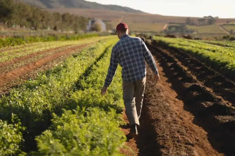 The vital role of soil diversity for sustainable agriculture 