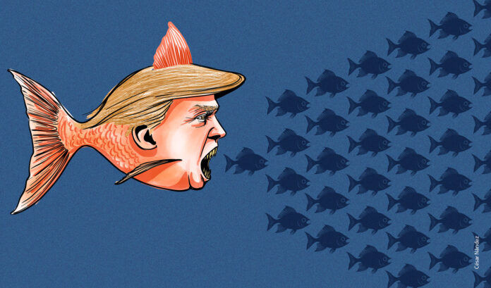 IL-¿Qué-esperar-de-la-administración-Trump-en-América-Latina