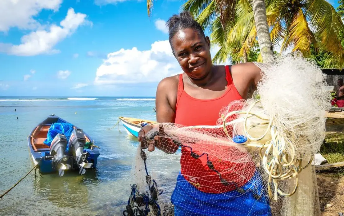 Caribbean Blue Economy at Risk: Pathways for Resilience and Regeneration