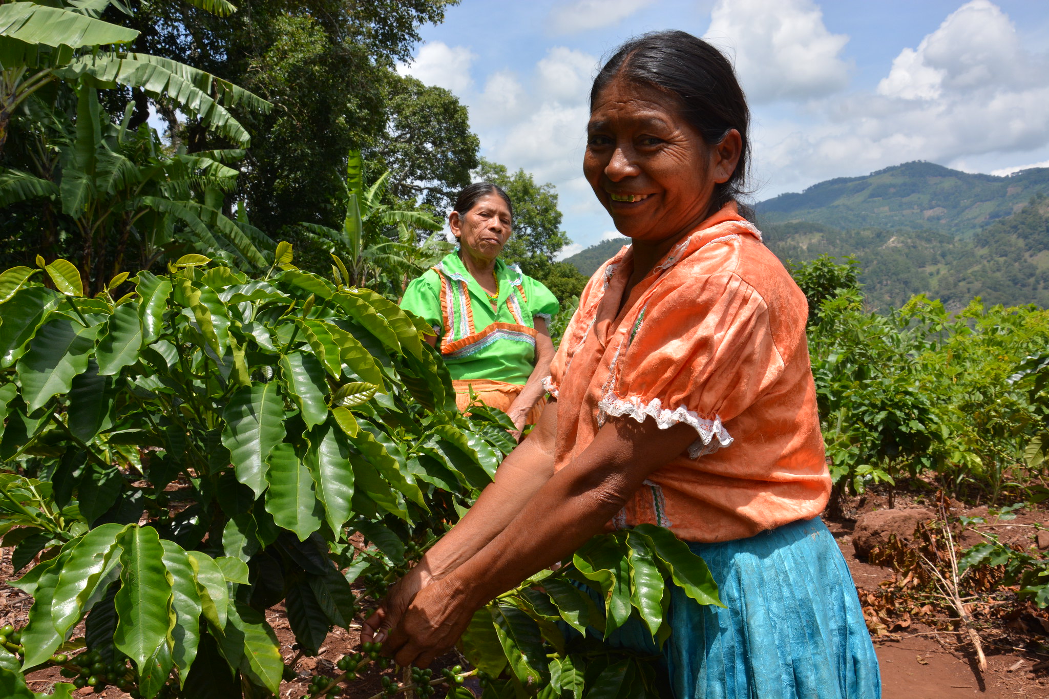 Recognizing and supporting the transformative role of women in Latin America and the Caribbean in facing the climate crisis