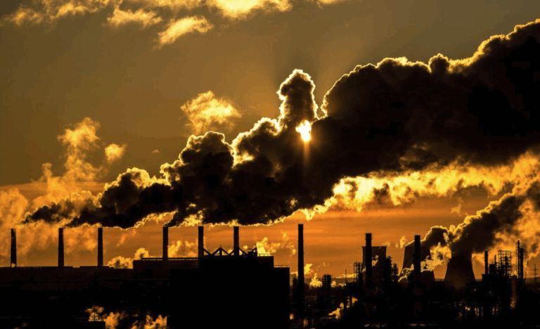 The effects of human error on the health of the planet