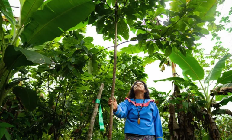 From endurance to resilience: the future of development in Latin America and the Caribbean