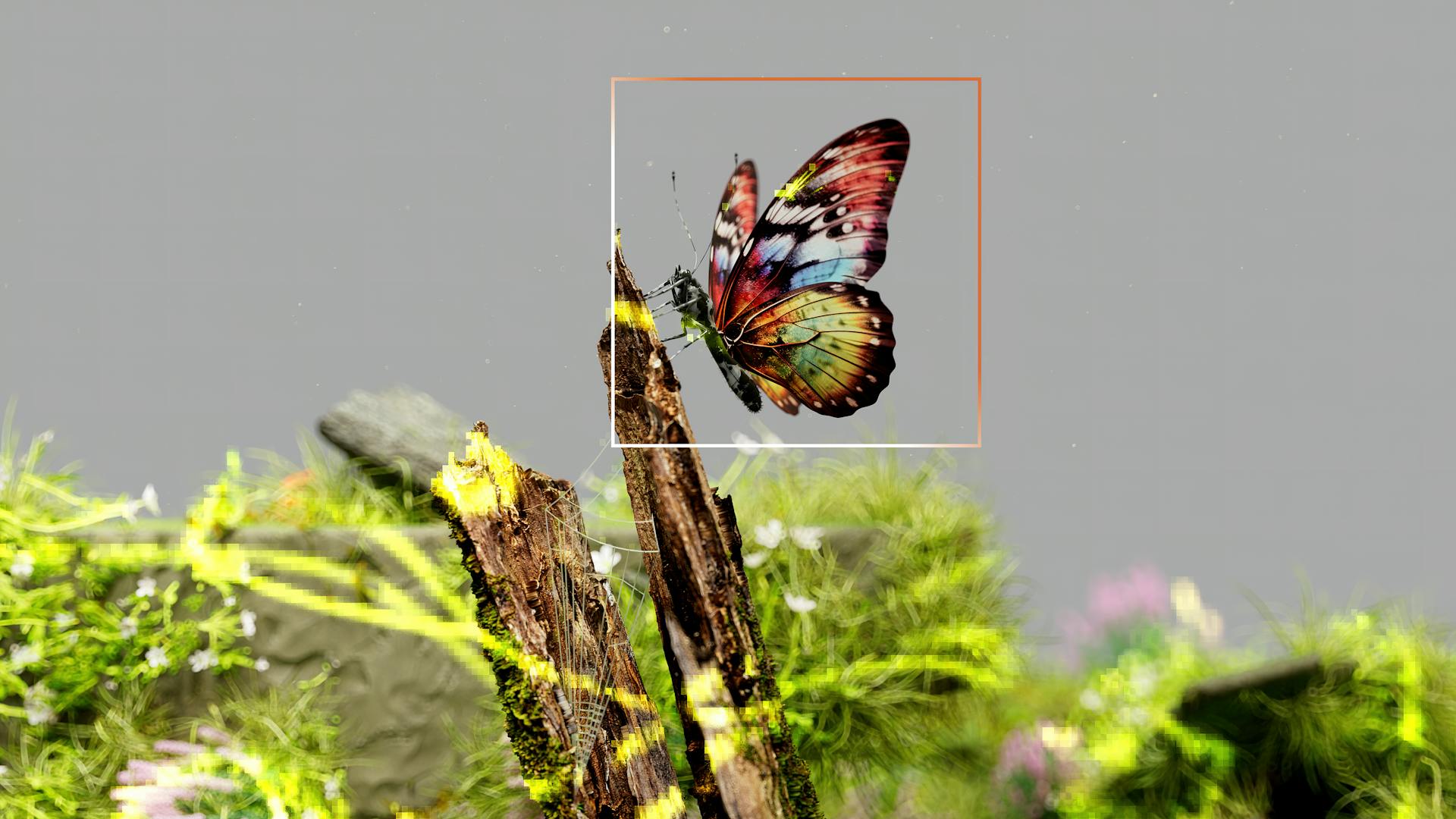 From whales to algorithms: why Latin America can lead a nature-inspired AI