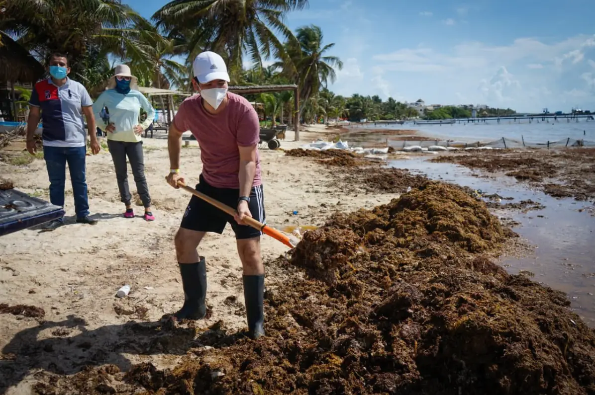 From sargassum to blue economy: an opportunity for the Greater Caribbean