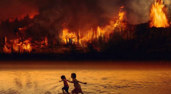 Os impactos da crise climática na América Latina