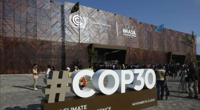 COP30: Who has access to the information needed to confront the climate crisis?