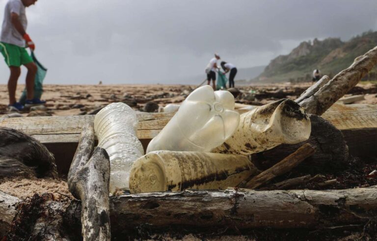 A importância do cuidado ambiental na América Latina